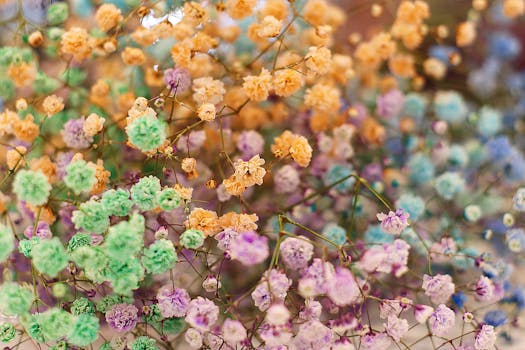 Everything You Need to Know About Dermal Fillers ...