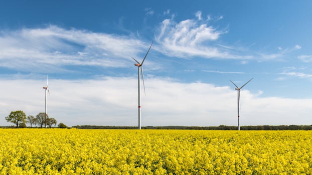 Dandruff vs. Dry Scalp: How to Tell the Difference