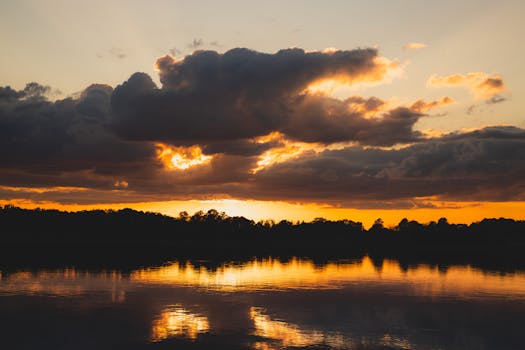 A Step-by-Step Guide to Creating Bantu Knots