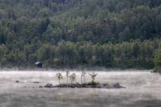Sol de Janeiro Cheirosa 48 Hair & Body Perfume Mist